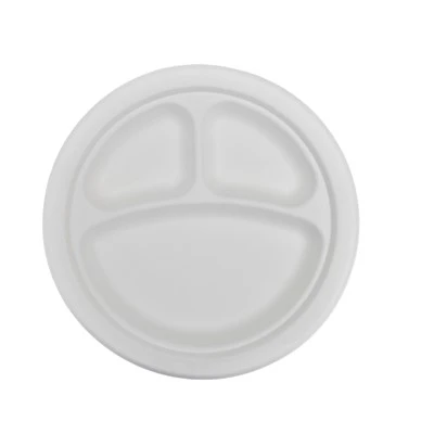 Biodegradable Bagasse Plates
