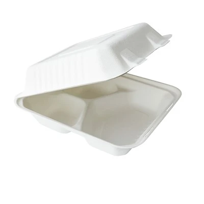 Compostable Takeaway Food Container