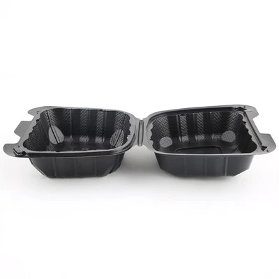 Small Biodegradable Container