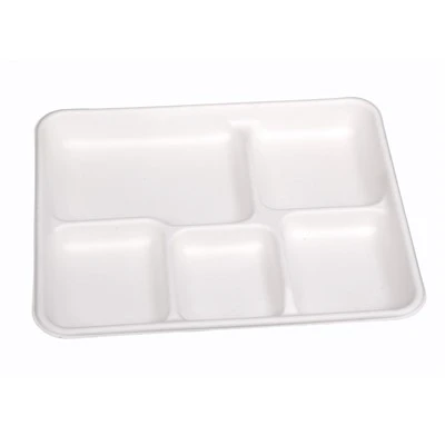 Square Sugarcane Plates