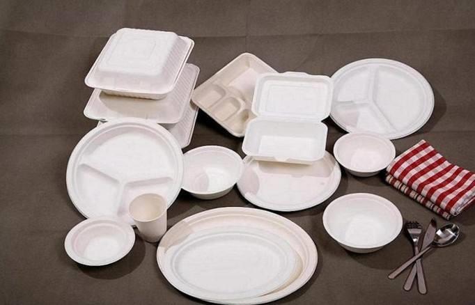 What Is Biodegradable Cutlery