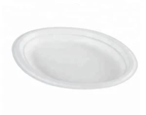 Biodegradable Dinner Plates