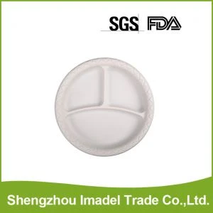 Biodegradable Food Plates