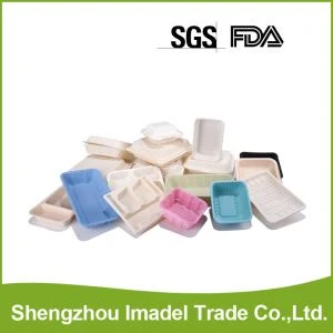 Biodegradable Party Tableware