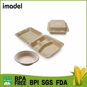 Sugarcane Bagasse Container