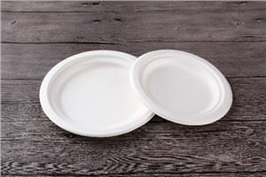 Biodegradable Dessert Plates