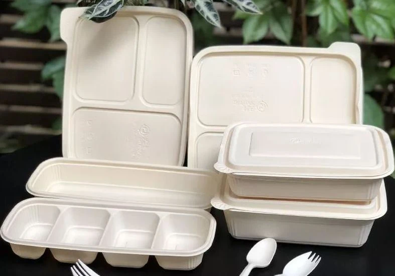 What Is A Degradable Lunch Box?