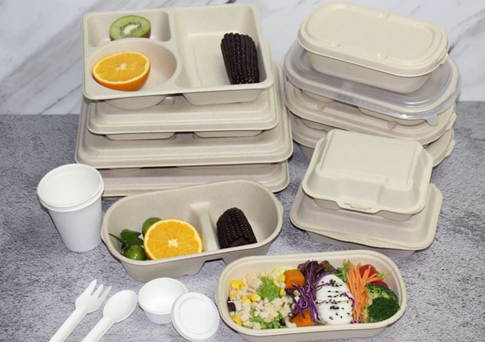 Green Winter Olympics | Tableware ~ Biodegradable, Environmentally Friendly