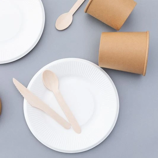 What Is The Market Prospect Of Disposable Environmental Protection Tableware