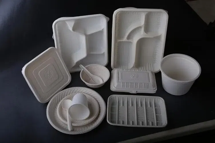What Is The Difference Between Compostable And Biodegradable?