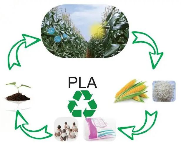 Steps China Has Been Taking On Ban On Single-use Plastics