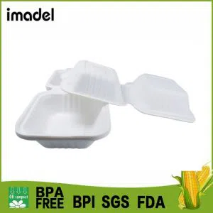 Common Degradable Lunch Boxes, Do You Know Those?