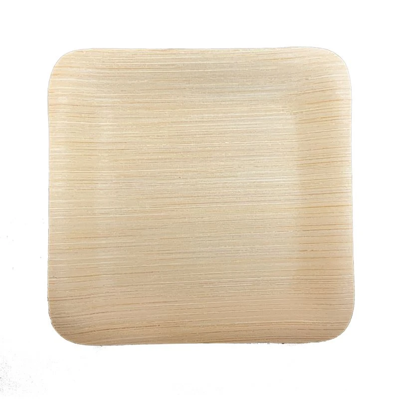 Biodegradable Plate