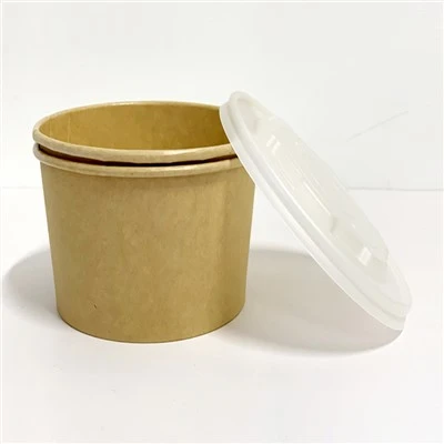 Biodegradable Soup Bowl